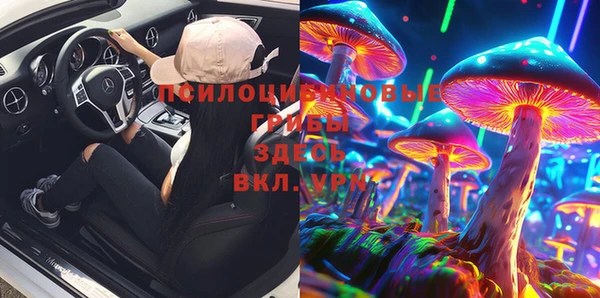 бошки Зерноград