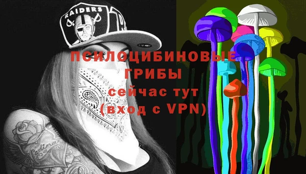 бошки Зерноград
