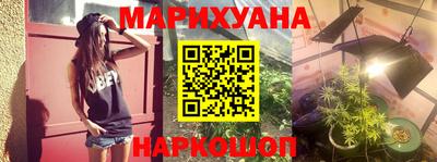 гашик Берёзовский