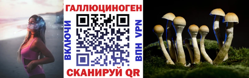купить цена Владикавказ Псилоцибиновые грибы прущие грибы