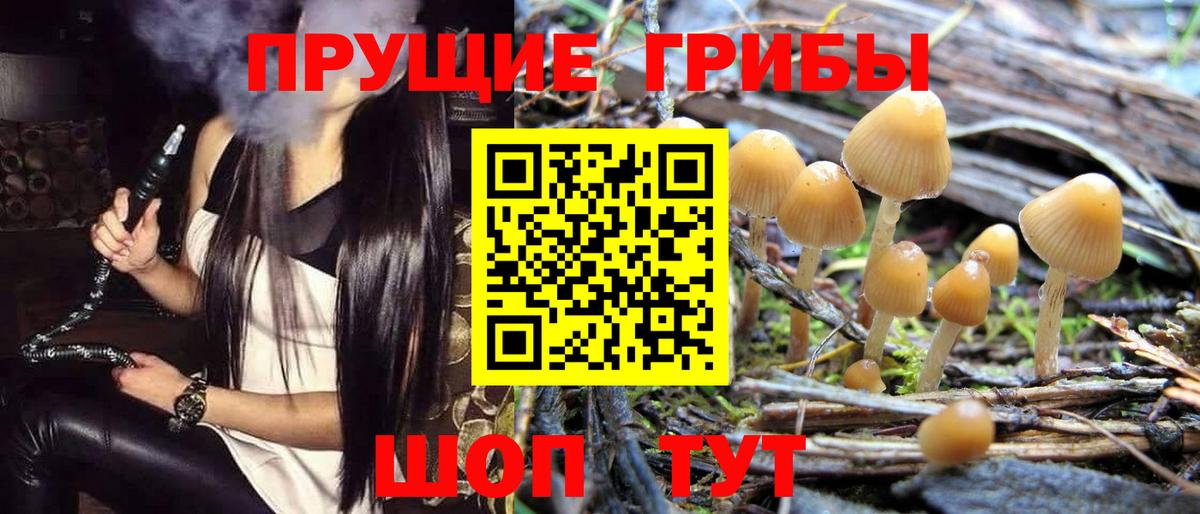 Галлюциногенные грибы прущие грибы  Псилоцибиновые грибы GOLDEN TEACHER  Вход с VPN  Владикавказ 