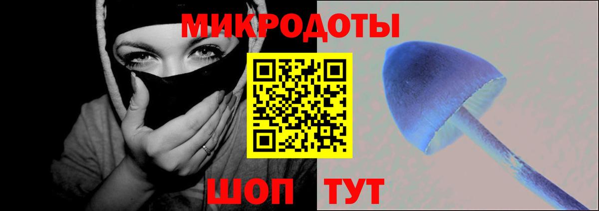 Галлюциногенные грибы GOLDEN TEACHER Владикавказ