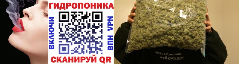 Бошки марихуана планчик цена мега ТОР Владикавказ